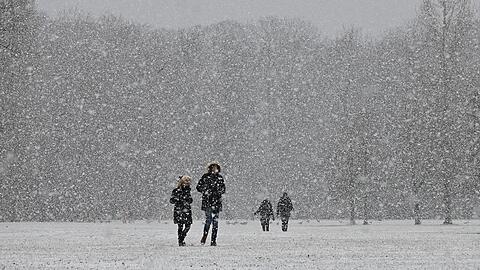 So war's im November vergangenen Jahres: Spaziergänger bei Schneefall im Englischen Garten.