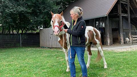 Brigitte Mitterhuber mit Apache.