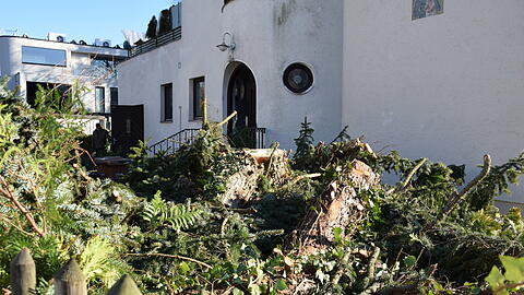 Vor dem Haus stapeln sich Äste und Baumstämme.