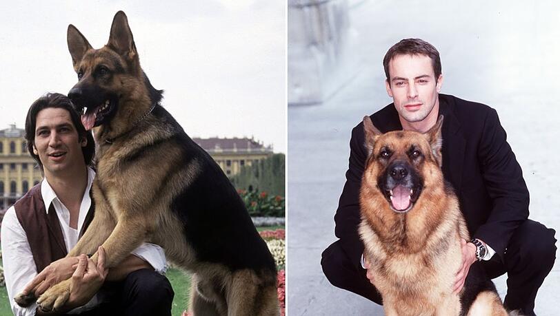 Tobias Moretti (li.) und Gedeon Burkhard waren die ersten beiden Kollegen von Schäferhund "Kommissar Rex". Tobias Moretti (li.) und Gedeon Burkhard waren die ersten beiden Kollegen von Schäferhund "Kommissar Rex".