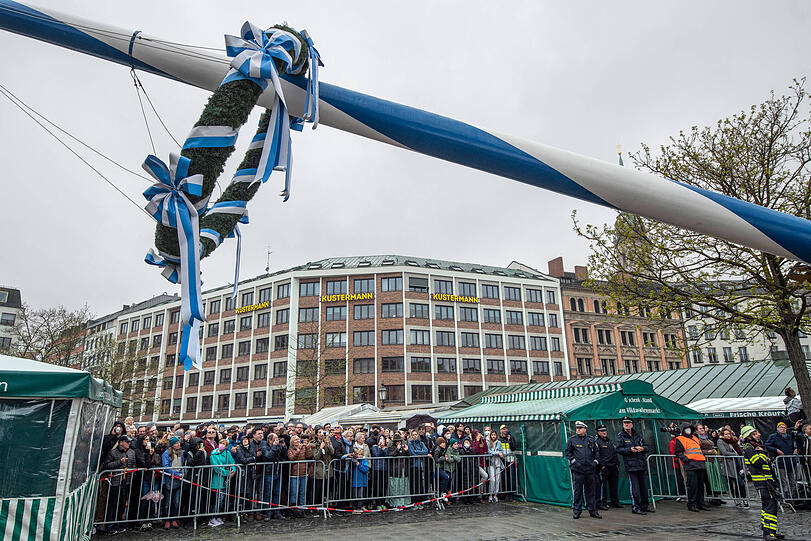 Der Maibaum war am 1. Mai 2022 auf dem Viktualienmarkt aufgestellt worden. Der Maibaum war am 1. Mai 2022 auf dem Viktualienmarkt aufgestellt worden.