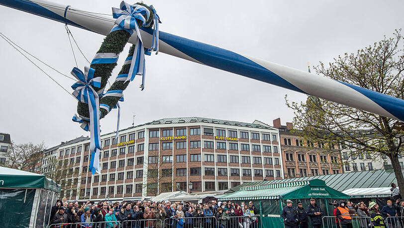 Der Maibaum war am 1. Mai 2022 auf dem Viktualienmarkt aufgestellt worden. Der Maibaum war am 1. Mai 2022 auf dem Viktualienmarkt aufgestellt worden.