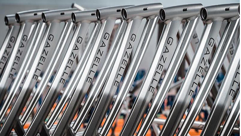 Fahrradhersteller Gazelle will seine größten Konkurrenten Sparta und Batavus übernehmen.
