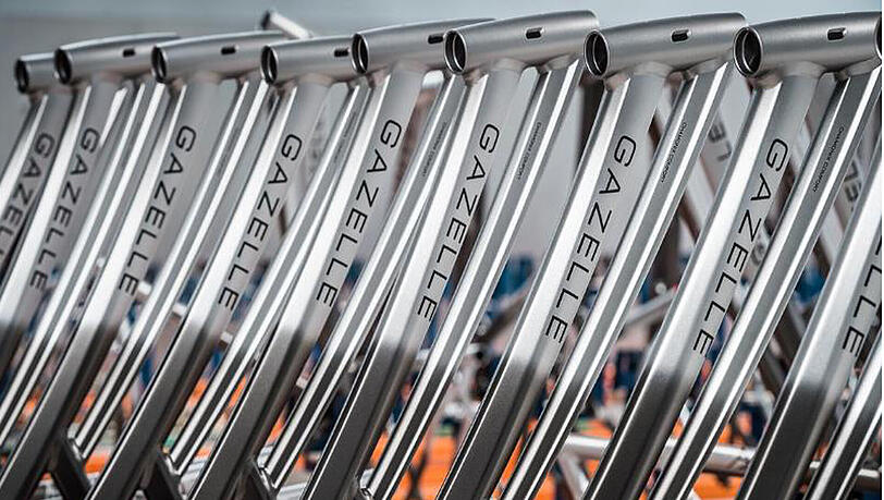 Fahrradhersteller Gazelle will seine größten Konkurrenten Sparta und Batavus übernehmen. Fahrradhersteller Gazelle will seine größten Konkurrenten Sparta und Batavus übernehmen.