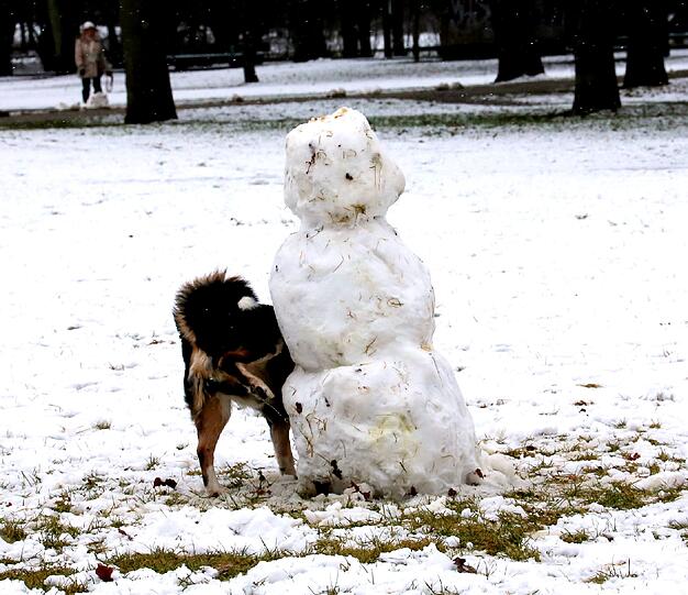 Schnee in München. Die Bilder.