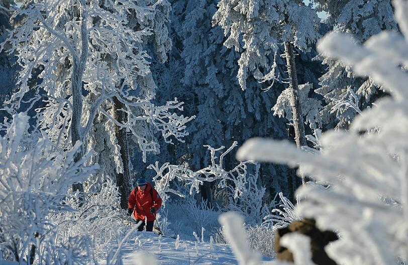 Feldberg