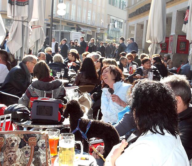 Tierisch geht es am Marienplatz zu, wo selbst Pudel sich sonnen.