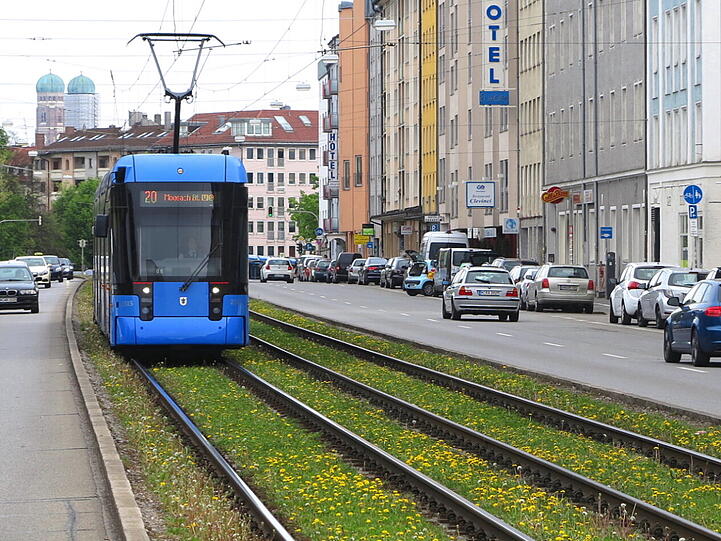Die Gleise der Trambahn sind in der Dachauerstraße rund um Stiglmaierplatz mit Löwenzahn bewachsen.