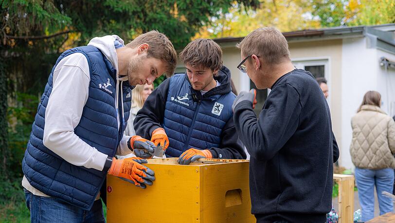 Werkeln für "Die gute Stube" (v.l.) Siemen Voet und Tim Danhof packten bei ihrem Besuch kräftig an. Werkeln für "Die gute Stube" (v.l.) Siemen Voet und Tim Danhof packten bei ihrem Besuch kräftig an.