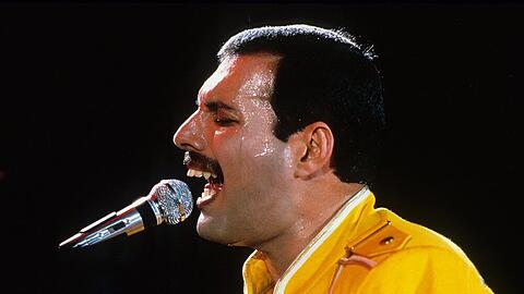 Freddie Mercury gilt bis heute als prominentestes HIV-Opfer der Welt