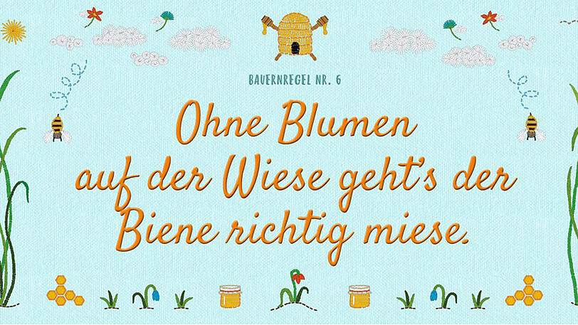 Streit um die "neuen Bauernregeln" von Umweltministerin Hendricks.