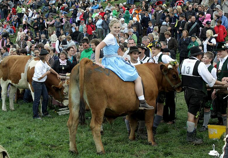 1996 war das Münsinger Ochsenrennen eine beschauliche Gaudi für die Landwirte aus der Gegend. Jetzt sind rund 10.000 Besucher gekommen. Wie Olympia und die Fußball-WM findet auch dieses sportliche Großereignis nur alle vier Jahre statt. Wir waren dabei. Die Bilder von der Gaudi