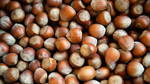 Die Haselsnussernte ist in Italien so schlecht ausgefallen wie seit Jahrzehnten nicht mehr. (Archivbild)