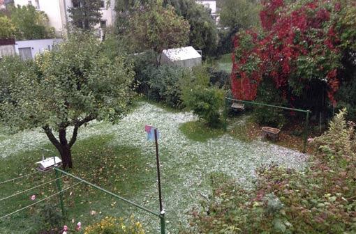 Angezuckert: Der erste Schnee in einem Garten im Münchner Stadtteil Harlaching.