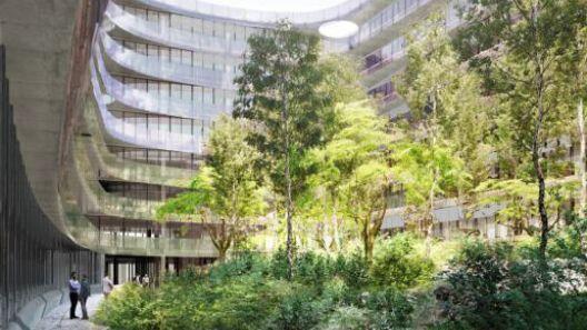 Ein Urwald für die Öffentlichkeit: Wild und verwuchert soll einmal der Innenhof aussehen, ein Fleck Natur mitten in der Stadt.