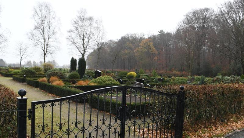 Im niedersächsischen Steinfeld wurde ein Gemeindearbeiter nach eigener Schilderung bei der Pflege einer Grünanlage um einen Friedhof von einem Wolf gebissen. Im niedersächsischen Steinfeld wurde ein Gemeindearbeiter nach eigener Schilderung bei der Pflege einer Grünanlage um einen Friedhof von einem Wolf gebissen.