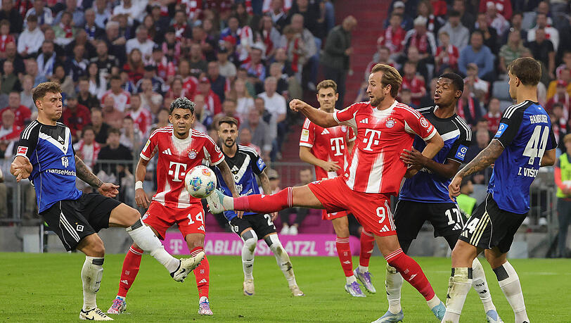 Bayerns Torgarant Harry Kane traf gegen den Hamburger SV doppelt. Bayerns Torgarant Harry Kane traf gegen den Hamburger SV doppelt.