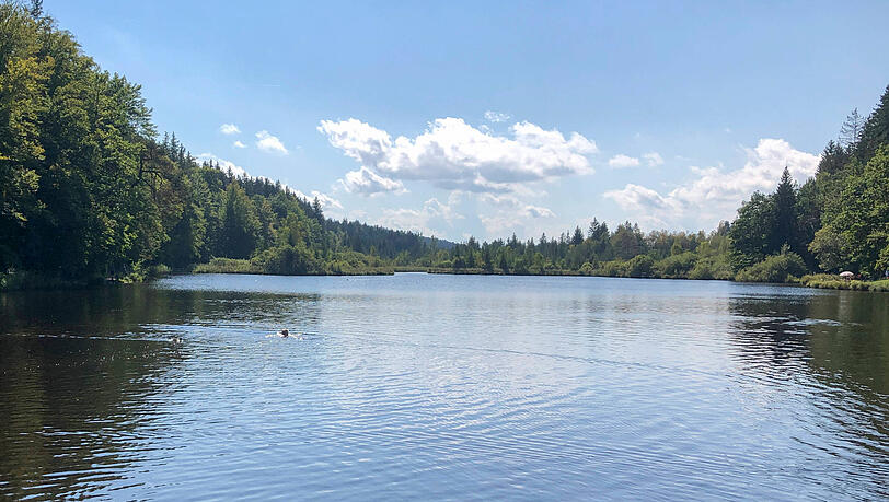 Die Idylle trügt: Das Badeverbot im Deininger Weiher gilt bis auf Weiteres. Die Idylle trügt: Das Badeverbot im Deininger Weiher gilt bis auf Weiteres.