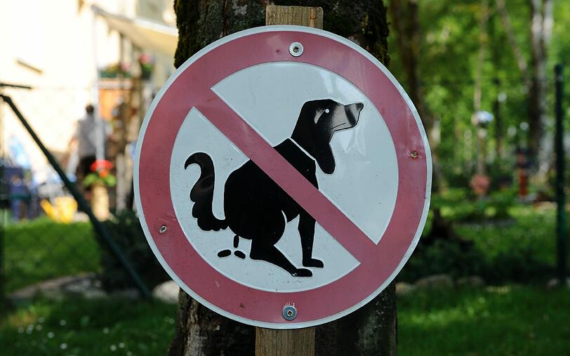 Einen Hundekot-Tütenspender fordert der BA 1 für das Grundstück Am Gries.