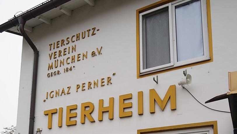 Der Tierschutzverein München e.V. wurde im Jahr 1842 gegründet und ist eine der größten gemeinnützigen Tierschutzorganisationen Europas. (Archivbild)