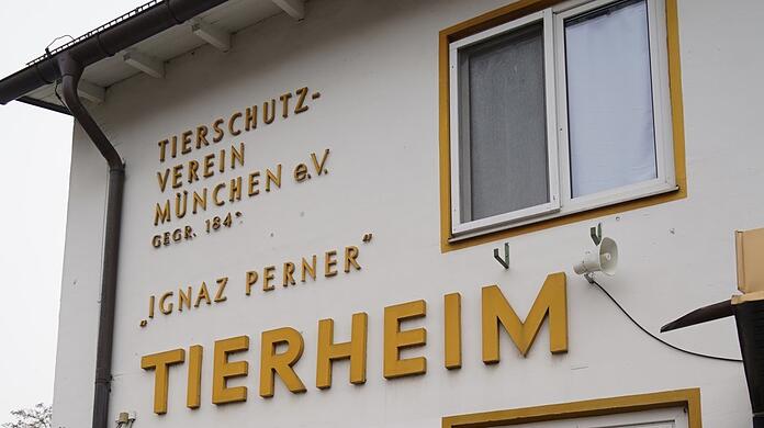 Der Tierschutzverein München e.V. wurde im Jahr 1842 gegründet und ist eine der größten gemeinnützigen Tierschutzorganisationen Europas. (Archivbild)