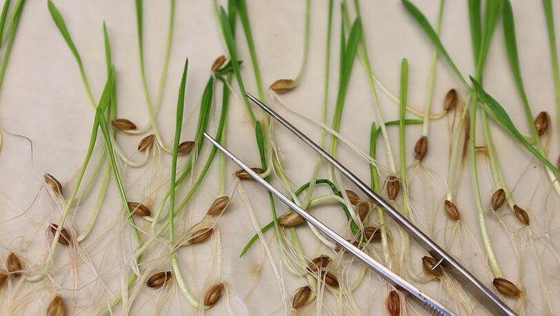 Die neuen Vorgaben müssen noch vom EU-Parlament und den EU-Staaten bestätigt werden. Normalerweise ist das Formsache, wenn sich die Unterhändler der Institutionen zuvor auf einen Kompromiss geeinigt haben.(Archivbild)