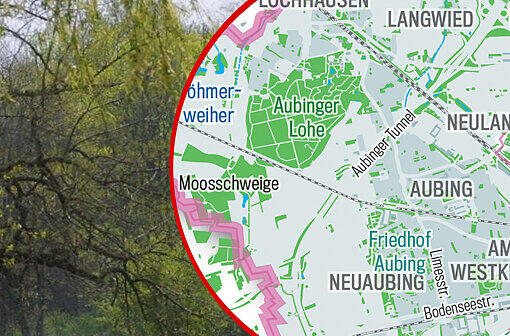 Viel Grün zwischen Grau: Die Bilderstrecke zeigt, wo es in München Parks, Grün- und Erholungsflächen gibt &ndash; und wo Wasser.