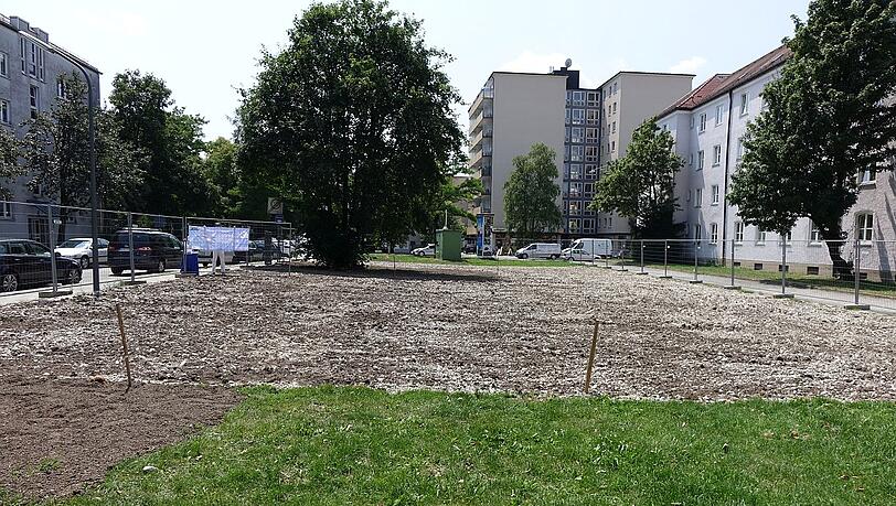 Noch sieht man nichts. Nächstes Jahr blühen hier Kornblumen, Mohn und Königskerzen. Foto: LBV Noch sieht man nichts. Nächstes Jahr blühen hier Kornblumen, Mohn und Königskerzen. Foto: LBV