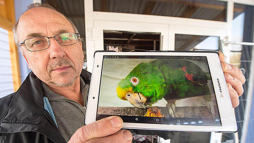 April 2016: Lothar Fischer steht vor den Trümmern seines Zooladens und zeigt ein Foto von Dusty in die Kamera. April 2016: Lothar Fischer steht vor den Trümmern seines Zooladens und zeigt ein Foto von Dusty in die Kamera.