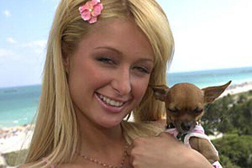Auch stolze Hundemama: Paris Hilton