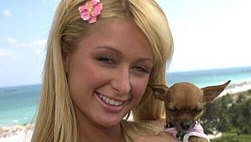 Auch stolze Hundemama: Paris Hilton Auch stolze Hundemama: Paris Hilton