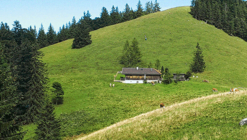 Die Steingrabenalm mit dahinter liegendem Eibelkopf. Die Steingrabenalm mit dahinter liegendem Eibelkopf.