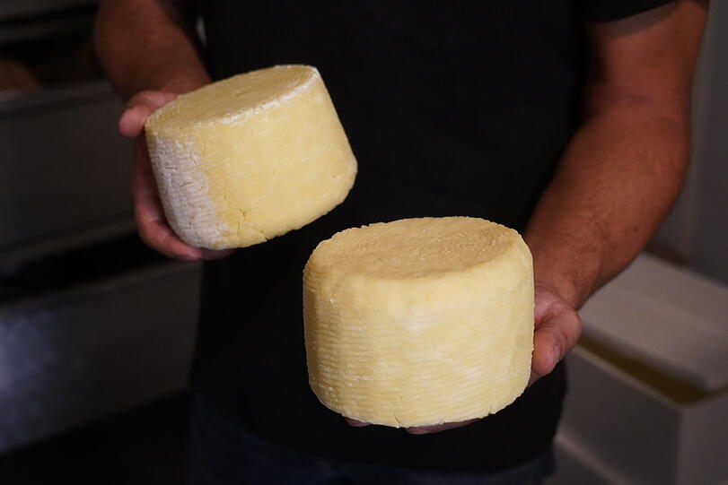 Auch weitere Käsesorten aus Büffelmilch werden hier produziert.