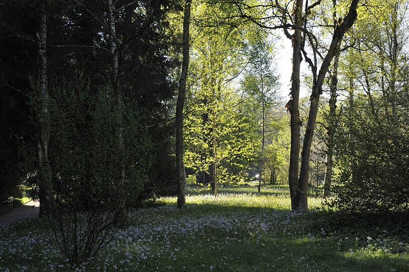 Ein weiterer Blick ins Arboretum.