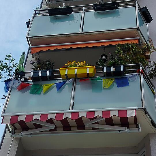 "Die Blumen blühen jetzt auf unserem Balkon in der Winzererstrasse."