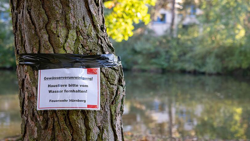 Am Langwassersee in Nürnberg gab es ein rätselhaftes Fischsterben.