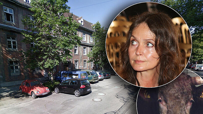 Daniela Böhm startete vor wenigen Tagen eine Online-Petition gegen den Münchner Schlachthof. Bisher haben über 50.000 Menschen unterschrieben. (Archiv-/Symbolbild) Daniela Böhm startete vor wenigen Tagen eine Online-Petition gegen den Münchner Schlachthof. Bisher haben über 50.000 Menschen unterschrieben. (Archiv-/Symbolbild)