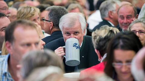 Obi schwoam muss es Seehofer auf dem Gillamoos: Die Kanzlerin lässt ihn mit der Maut abblitzen, die Opposition jubelt und der Applaus für ihn als Bierzeltredner ist mau.