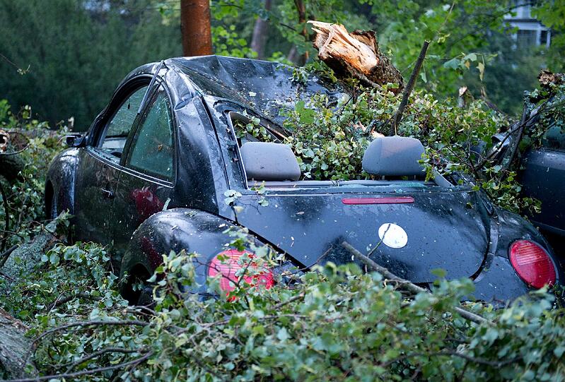 Unter einem Baum begraben steht dieser VW Beetle in Bad Schwalbach (Hessen).