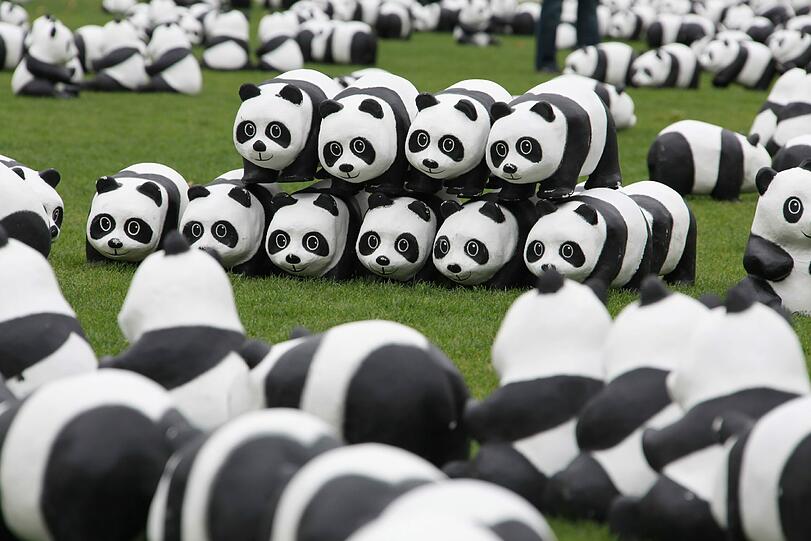 WWF Deutschland feiert 50-jähriges Bestehen: Die Panda-Skulpturen am Marienhof