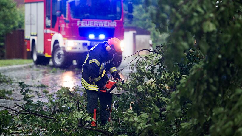 Ein Feuerwehrmann zersägt in Ebstorf einen nach einem Unwetter umgestürzten Baum.