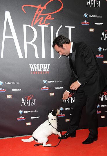 Seit den Oscars nicht nur der beliebteste Film samt Darsteller, sondern auch Hund. Jean Du jardins Filmpartner hat im Sturm die Herzen seiner Zuschauer erobert und wird wahrscheinlich bald auch in den schicken Pariser Straßen zum Must-have werden. Ist aber auch zu putzig das Kerlchen...