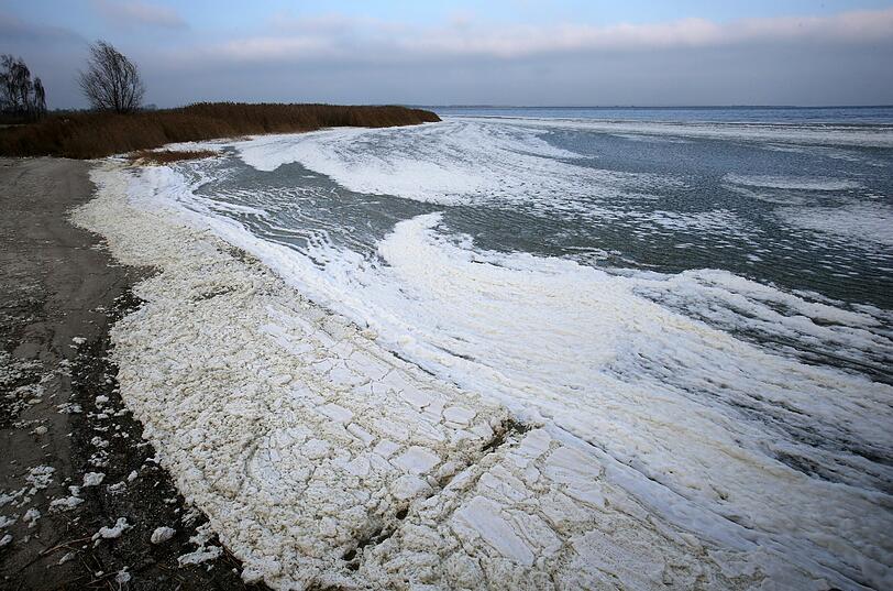 Im Boddenhafen des Ostseebades Dierhagen (Mecklenburg-Vorpommern) hat sich eine erste Eisschicht gebildet.