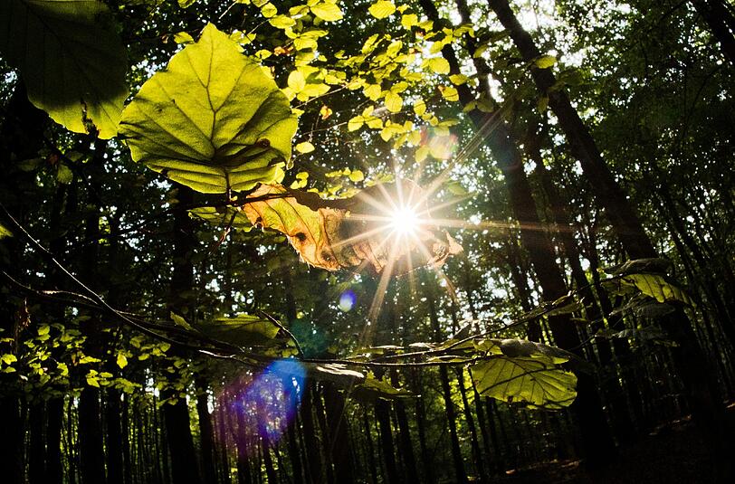 Von Dienstag bis Donnerstag wird ein Mix aus Sonne und Wolken erwaret. Foto: Julian Stratenschulte