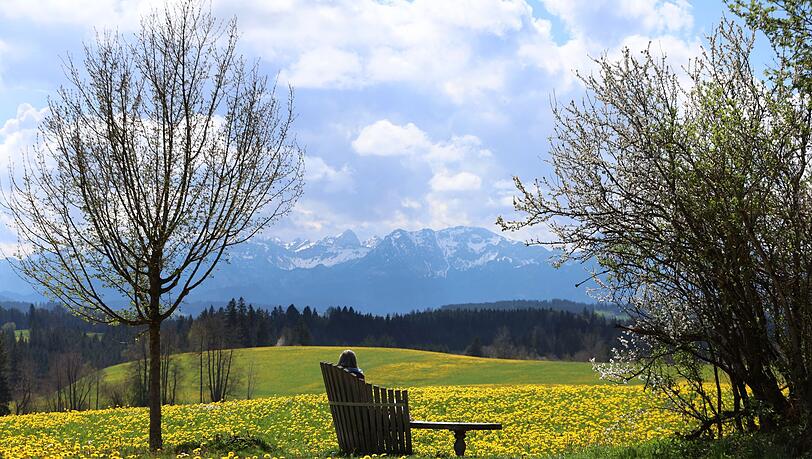 Saftige Wiesen, imposante Berge – mitunter zeigt sich Bayern wie aus dem Bilderbuch. (Archivbild)