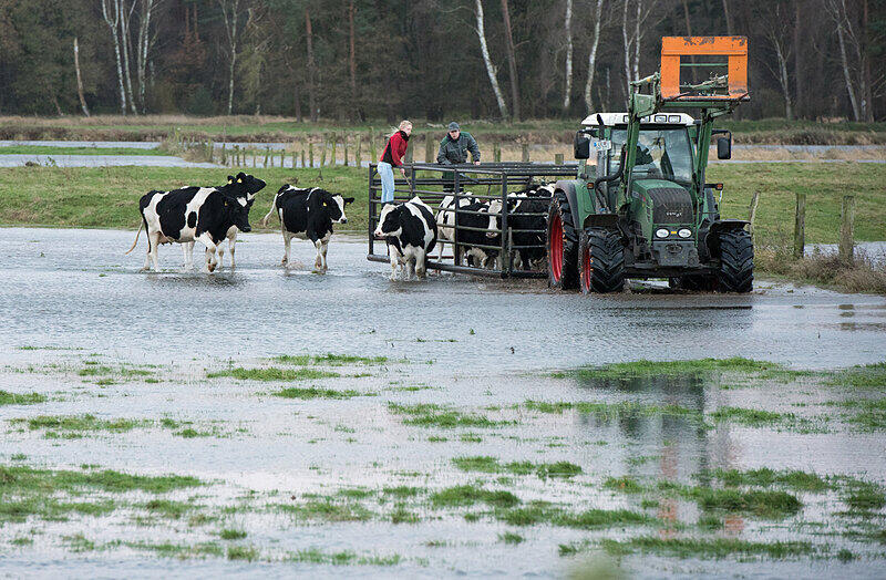 Das Sturmtief "Iwan" beschert dem Norden starken Wind und Regen. Die Bilder!