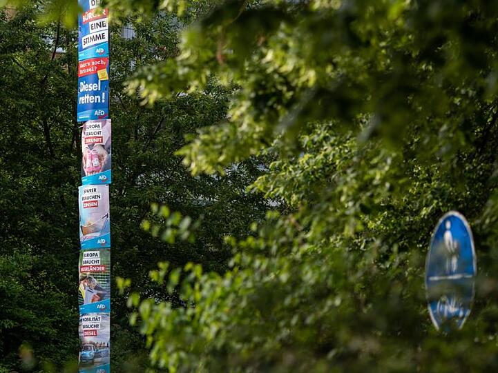 Voller Einsatz im AfD-Kernland: Wahlplakate der Rechtspopulisten an einem Laternenpfahl.