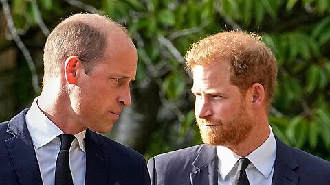 "Prinz und Rebell - Harry gegen das Königshaus": Prinz William (l.) und sein Bruder Harry haben zurzeit kein entspanntes Verhältnis.