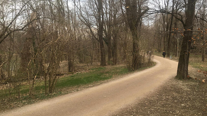 Der Herzogpark im Bereich Adalbert-Stifter-Straße und Brunnbachleite &ndash; hier ist die Joggerin von einem unbekannten Mann mit einem Messer bedroht worden.