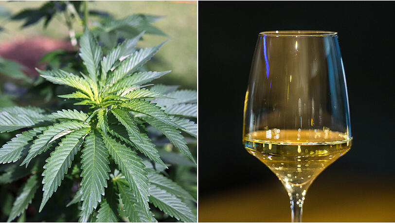 Wein mit THC-Gehalt? Diesen Mix soll es ab Januar 2018 in Kalifornien zu kaufen geben. Wein mit THC-Gehalt? Diesen Mix soll es ab Januar 2018 in Kalifornien zu kaufen geben.